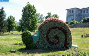 Современный Тамбов. Скульптура из цветов на Набережной в Тамбове