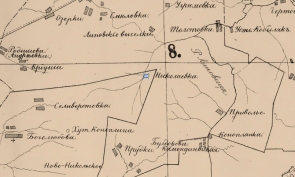Фрагмент карты Тамбовского уезда, где обозначена деревня Николаевка