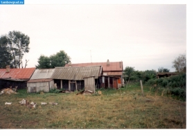 с. Новосельцево Тамбовский район. 1997 год