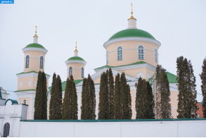 Лебедянский уезд. Дмитриевская церковь в Троекуровском монастыре