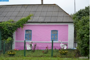 Жилой дом в селе Борисовка