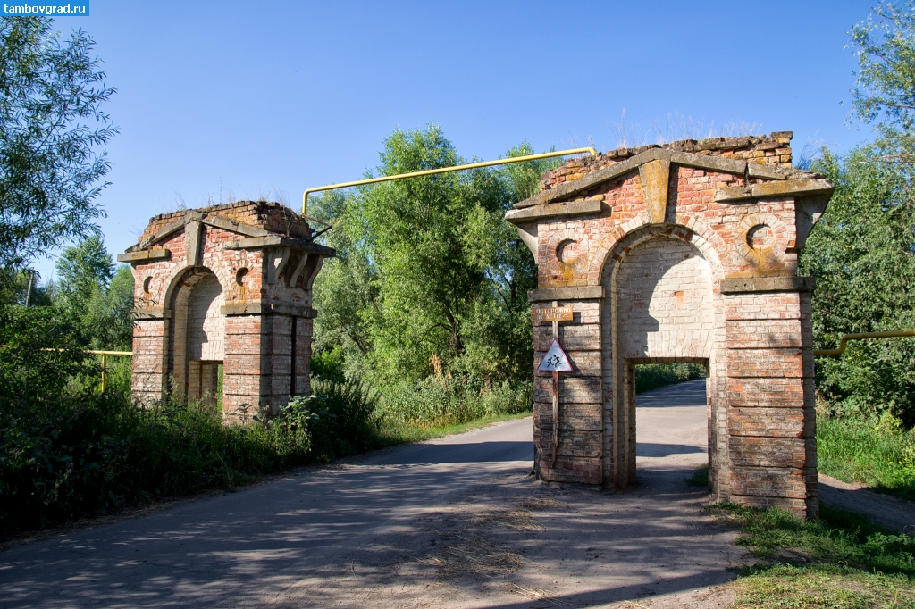 Моршанский район. Усадебные ворота в Новотомниково