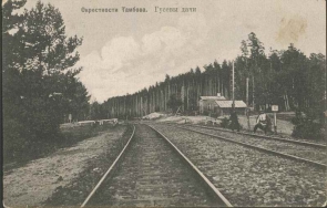 История Тамбова. Окрестности Тамбова. Гусевы дачи.