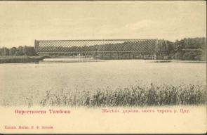 Тамбовский район. Окрестности Тамбова. Железнодорожный мост через реку Цну.