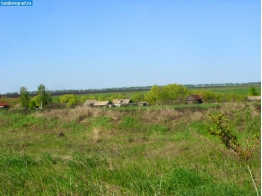 Деревня Андреевка