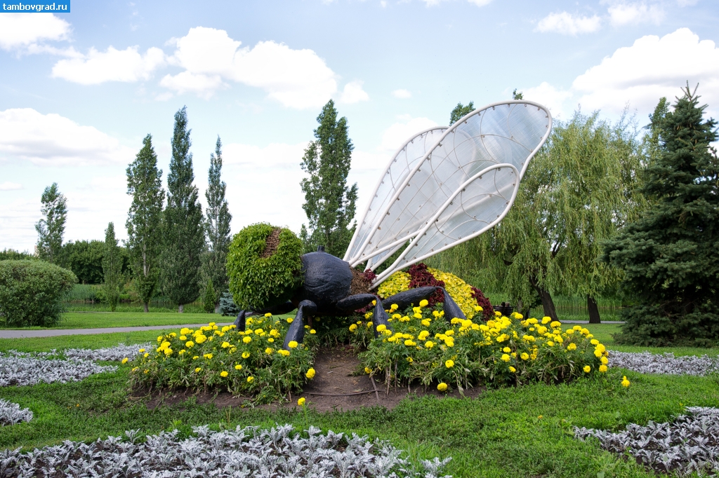 Современный Тамбов. Скульптура пчелы на Набережной в Тамбове