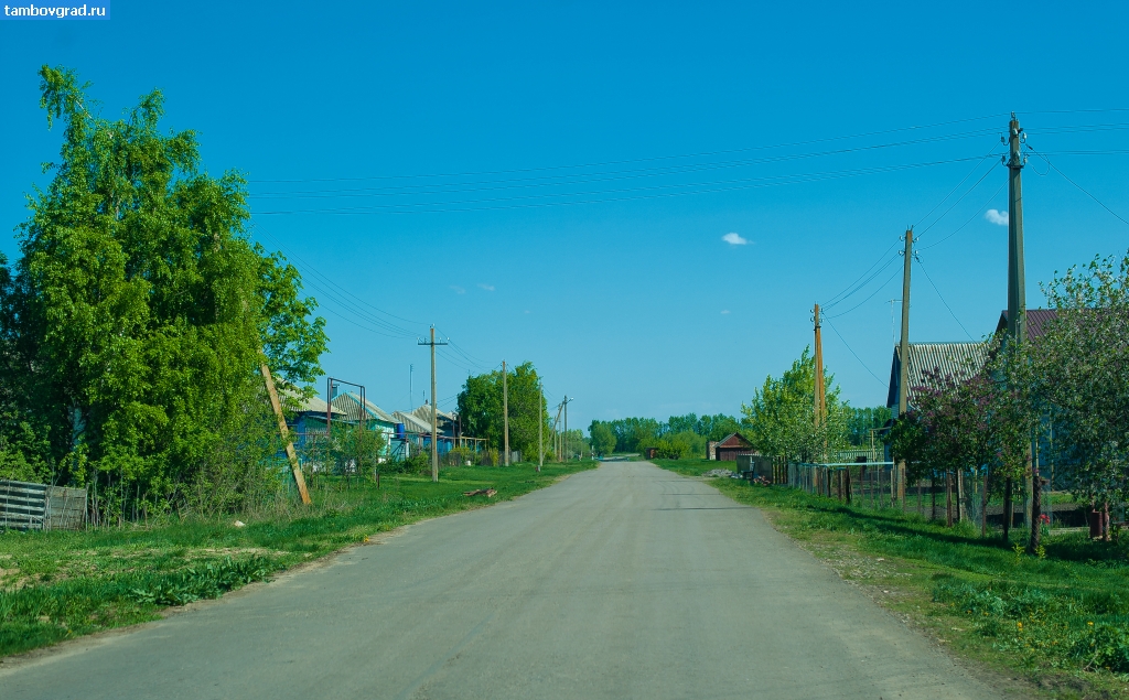 Жердевский район село