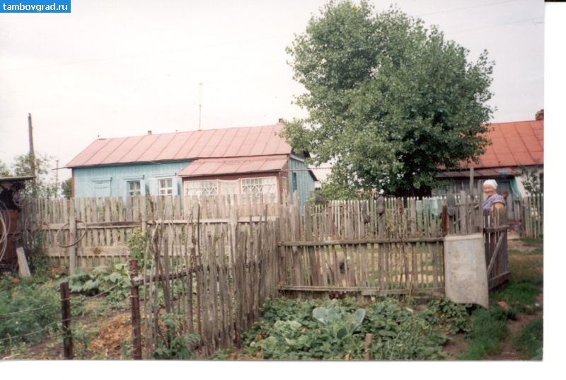 с. Новосельцево Тамбовский район. 1997 год