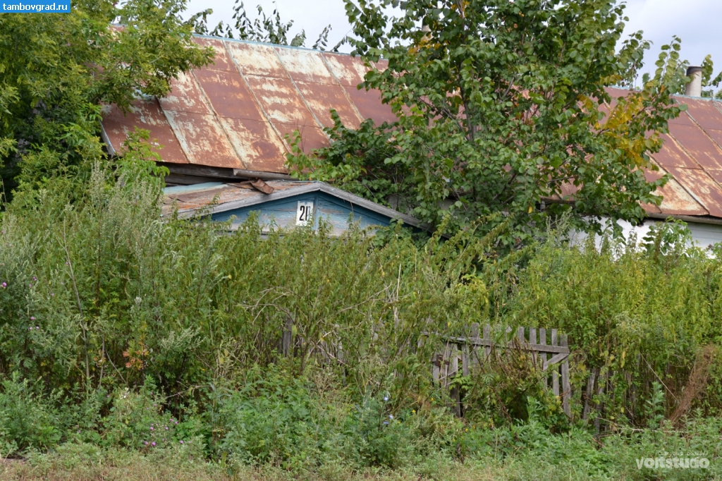 Петровский район. Заброшенный дом в деревне Алексеевка