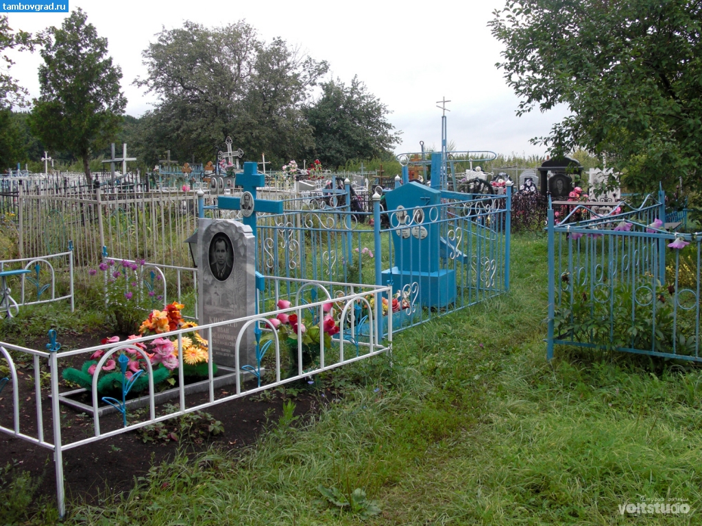 Петровский район. Кладбище в селе Найденовка