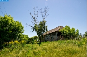 Умётский район. Заброшенный дом в Оржевке